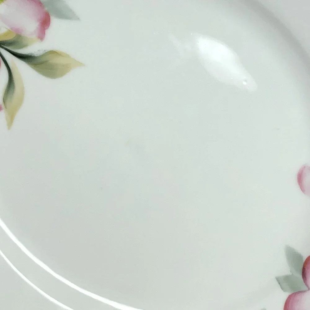 Noritake no chips
